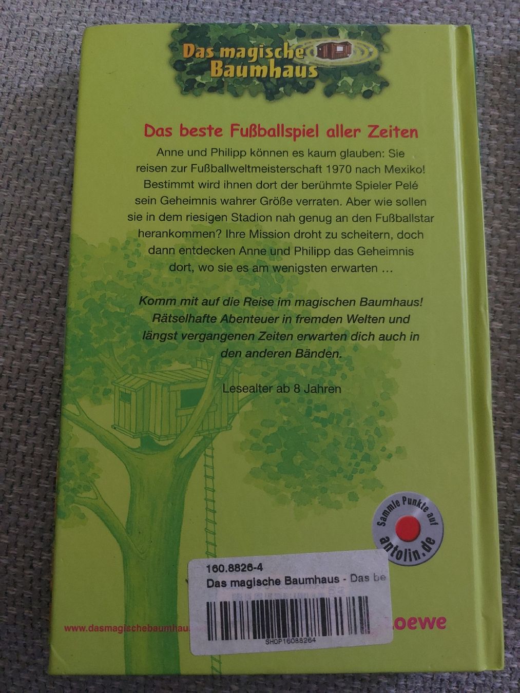 Libri: Das magische Baumhaus 3 Bücher – Usato da Effretikon venduto da jea_yq2t 1