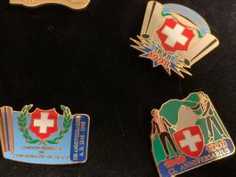 Pin Bundesverfassung 1948-1998