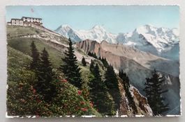 Hotel Schynige Platte (2000 m ü.M.)