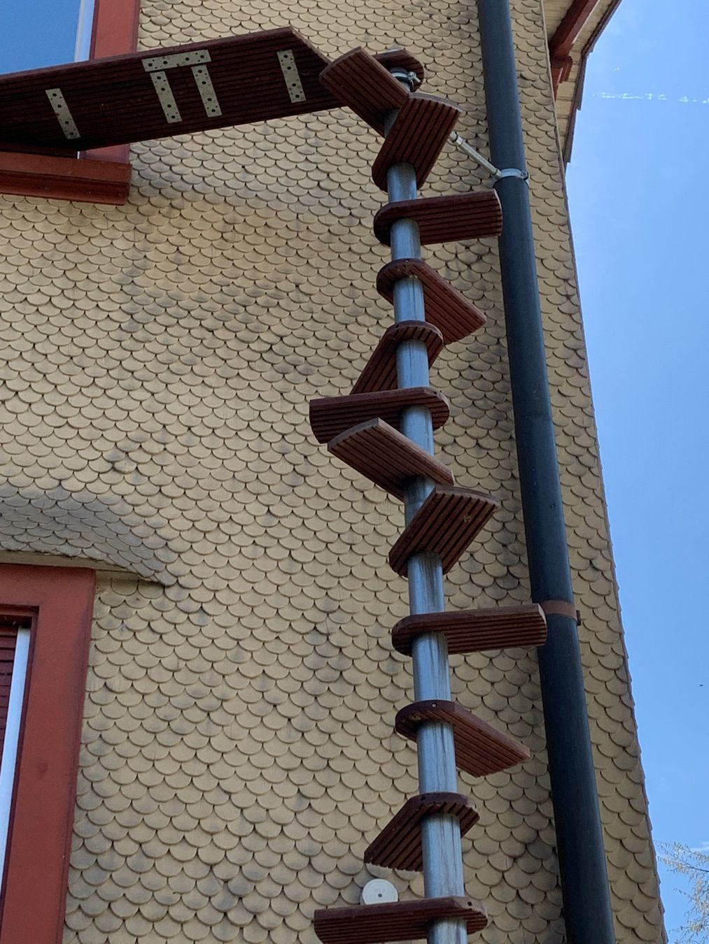Treppen: Katzentreppe Catwalk – Gebraucht aus Uznach von killroy99 2