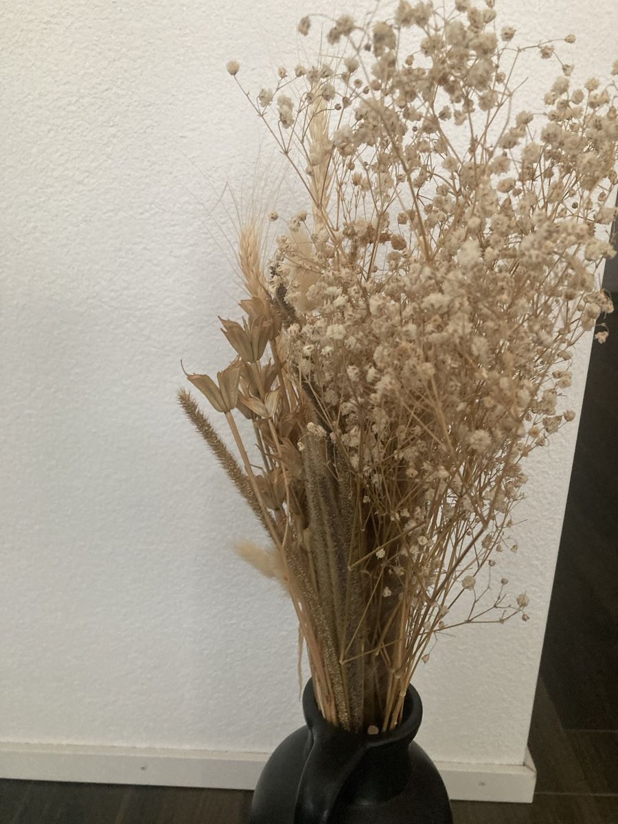 Vasi & Recipienti: Dekorative Vase – Nuovo (secondo la descrizione) da Frauenfeld venduto da mat_8nwr 1