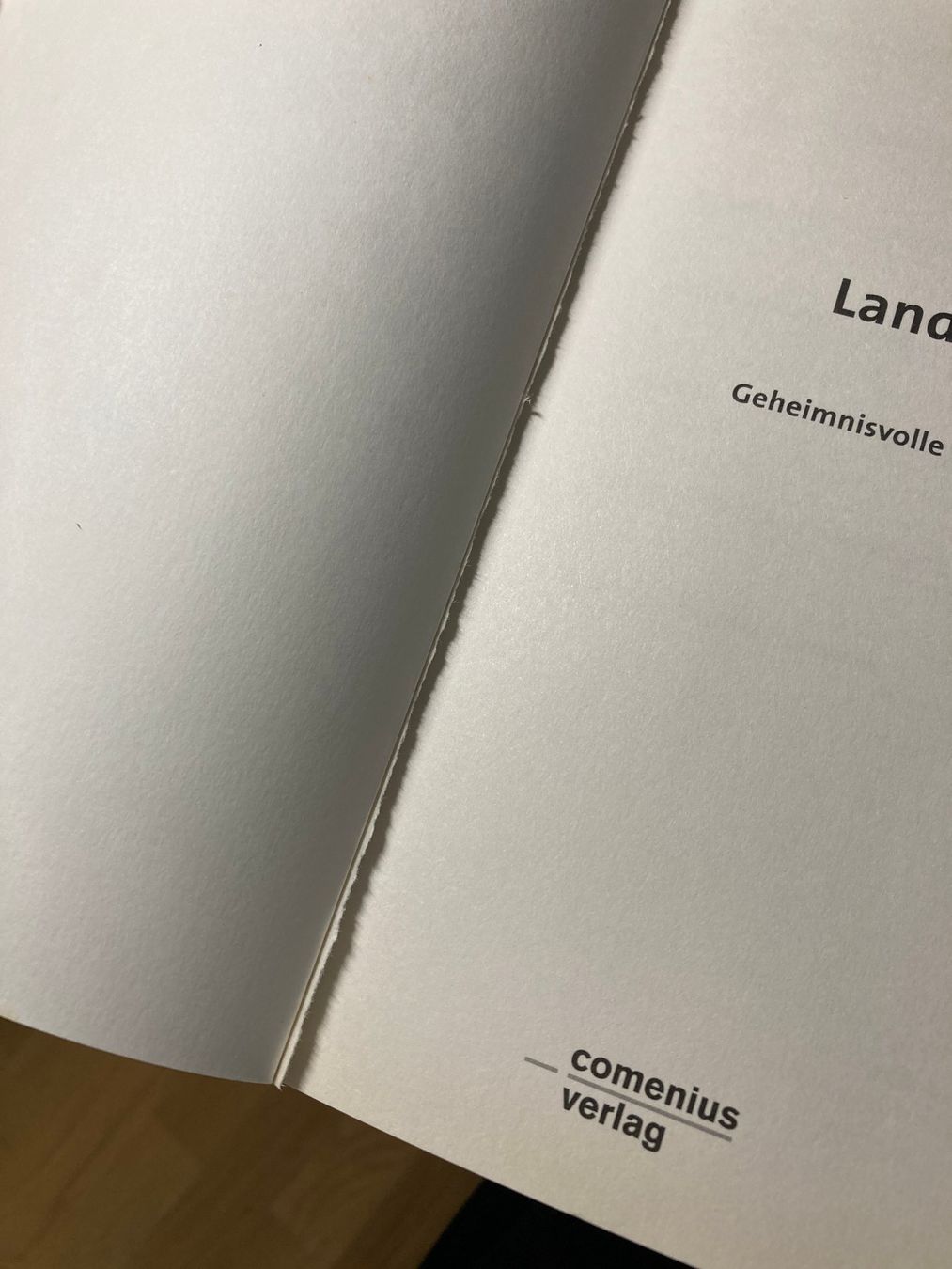 Bücher: Pirmin Meier: Landschaft der Pilger – Defekt aus Lenzburg von fh1 9