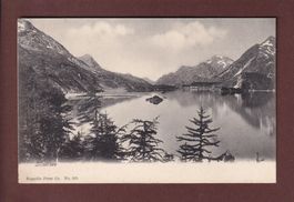 SILSERSEE