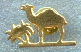 CAMEL  
