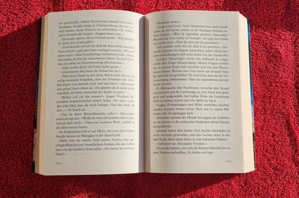 Libri: Kriminalroman Nord Licht – Usato da Sempach venduto da berglady30 2
