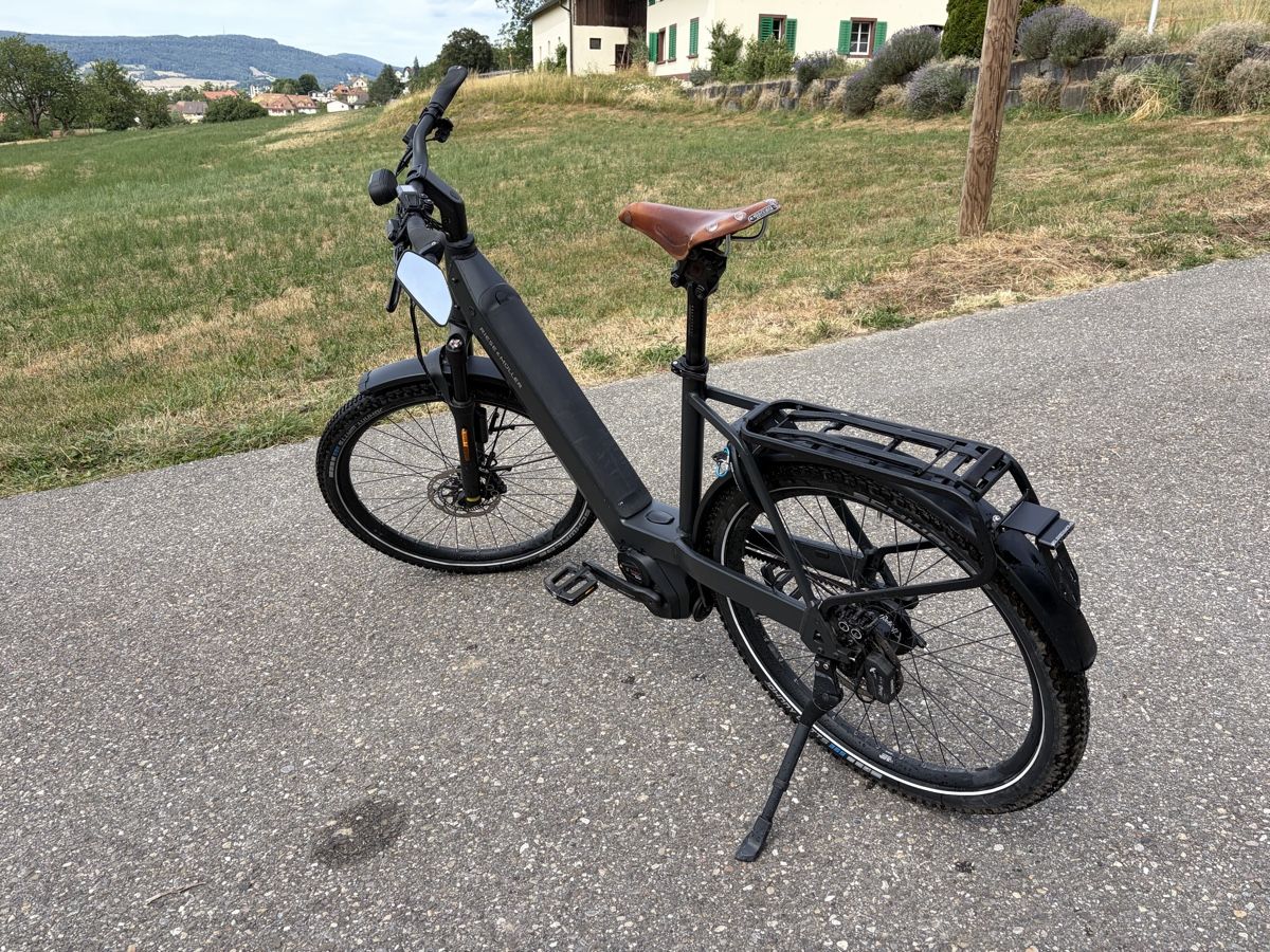 Riese & Müller Velos: Riese Müller Nevo 4 Rohloff – Gebraucht aus Gretzenbach von livulove 1