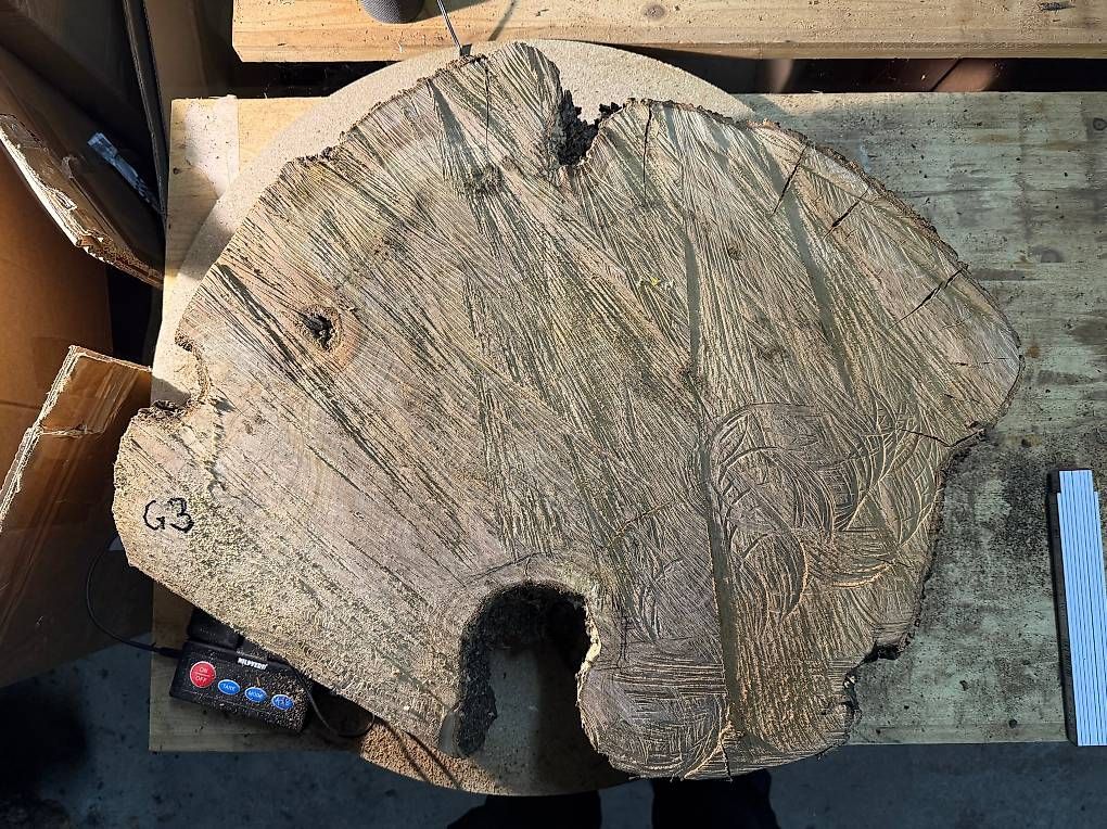 Articoli in legno: Olivenholz Baumscheibe G3 – Usato da Buus venduto da macipioji