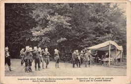 Grenzbesetzung 1914, Inspektion durch Bundesrat, gel. 1916