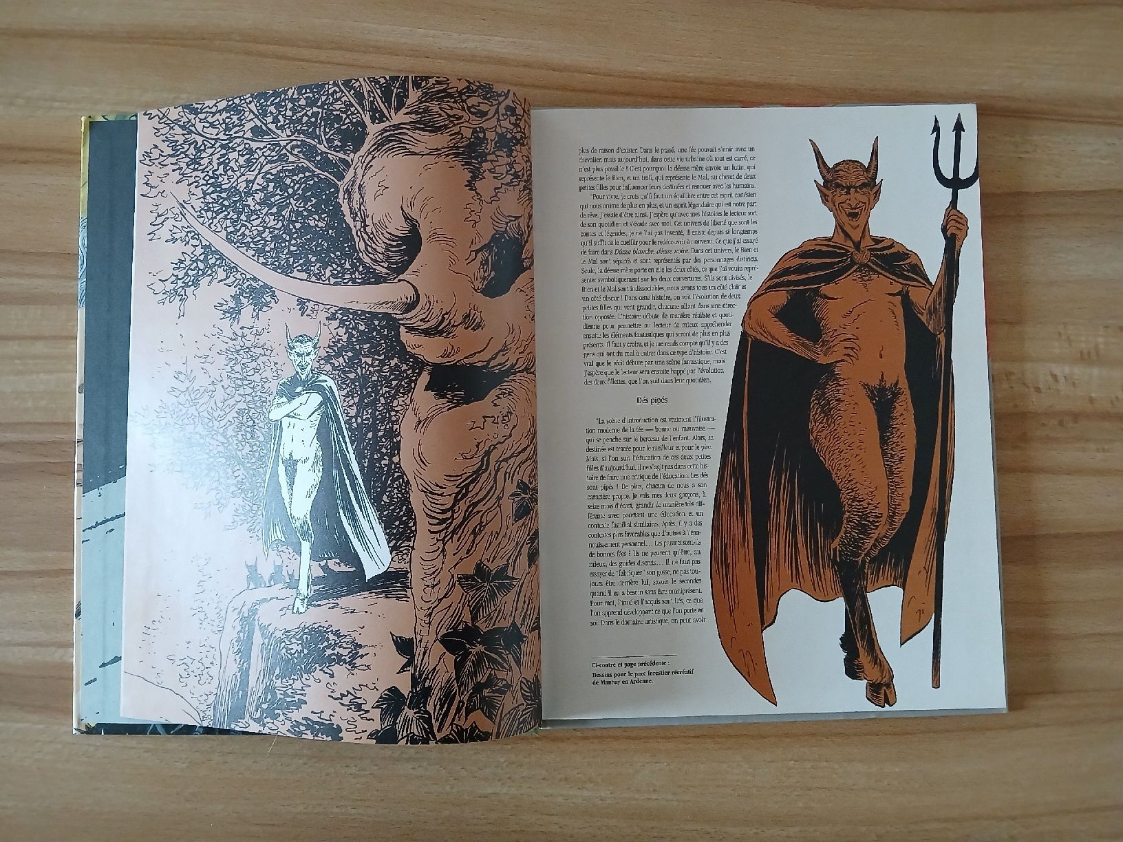 Fumetti: I tome de la série "Déesse Blanche, Déesse Noire" – Usato da Le Sentier venduto da arc_2thy 2