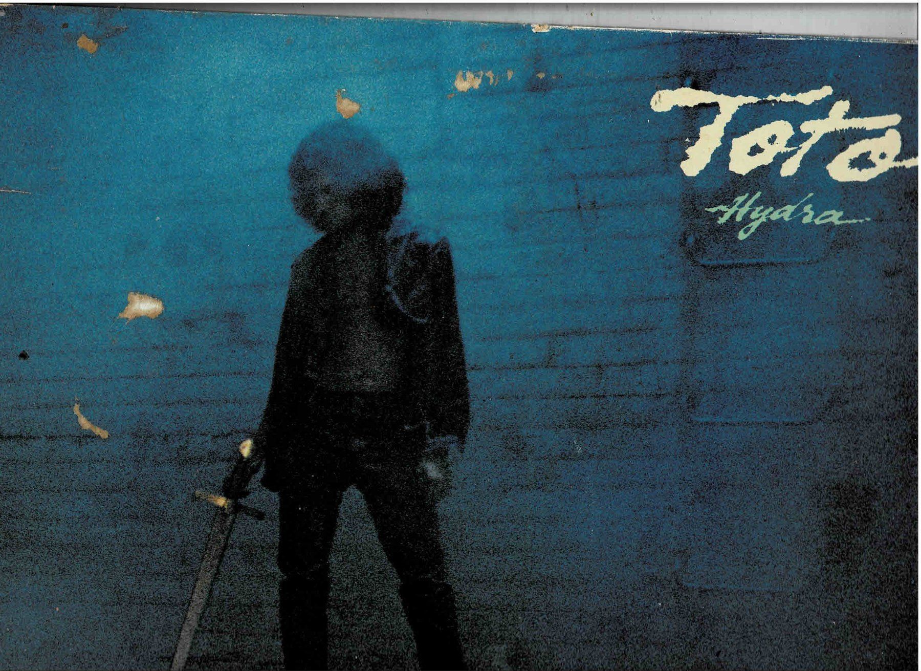 Dischi in vinile: Toto Hydsa Klapcover – Usato da Sulz AG venduto da Oberdanne8
