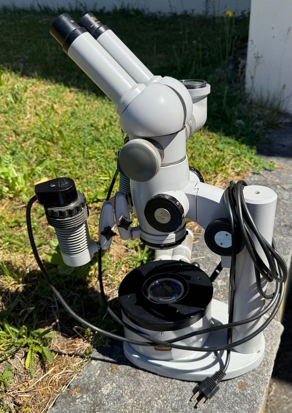 Microscopi: ZEISS Stereo Mikroskop – Usato da Rumendingen venduto da Tschangie 2