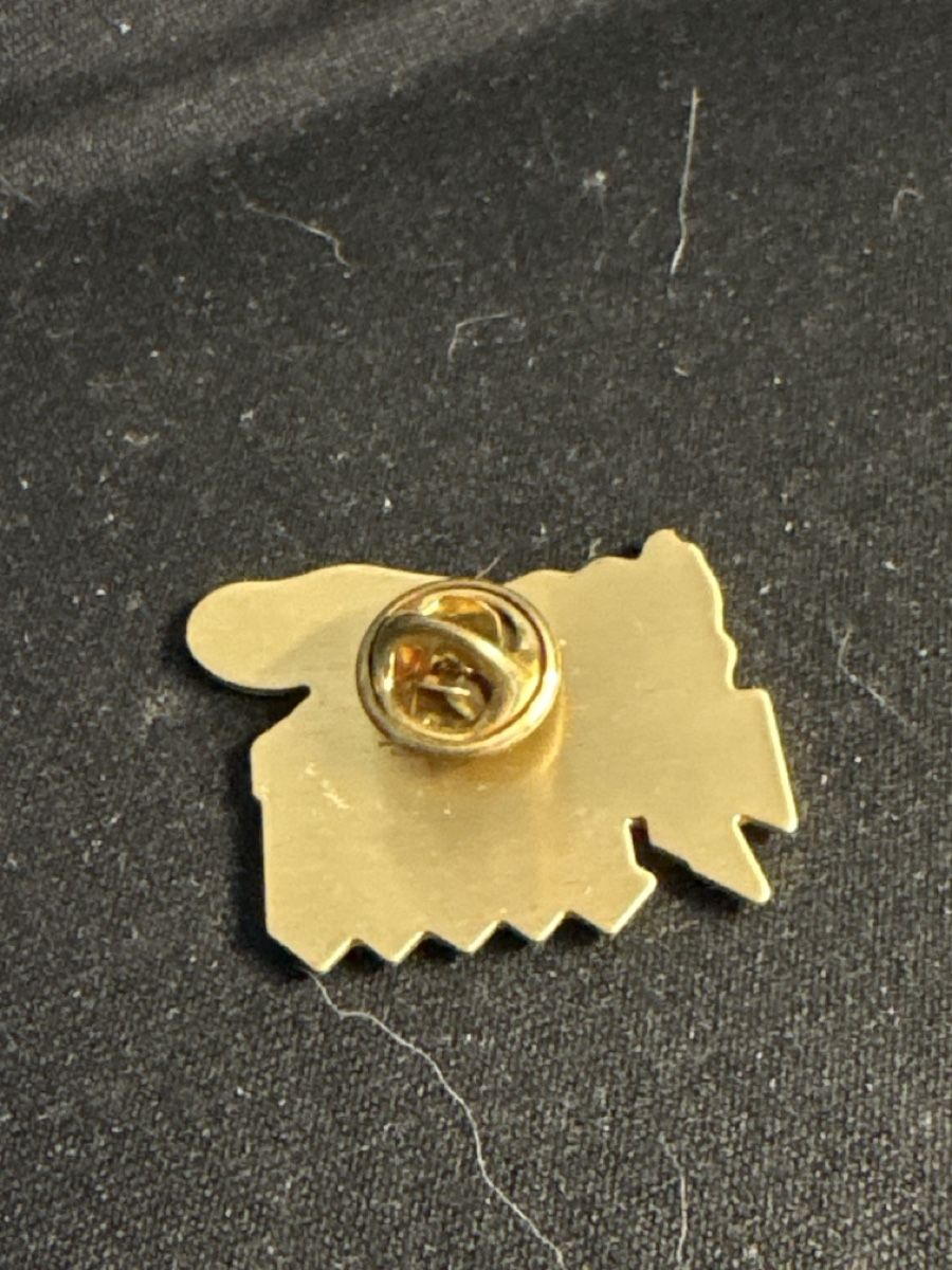 Placchette & Badge: SBB CFF FFS Lokomotive PIN – Usato da Basel venduto da Fischstabli 1