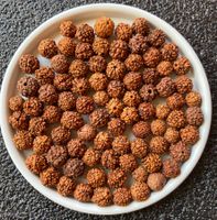 Schöne kleine  Shiva Perlen**Mix*