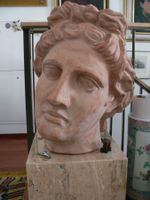 Apollo von Belvedere  Kopf von Terrecotte Benocci Toscana.