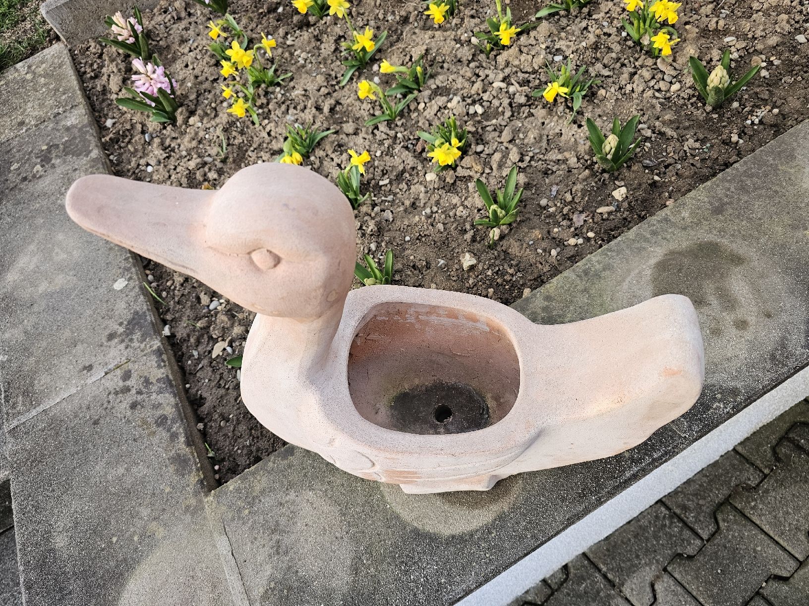 Vasi per fiori: Blumentopf Terracotta Schwan – Usato da Villnachern venduto da hasta08 8