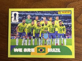 BRA 13 Panini WM 2026