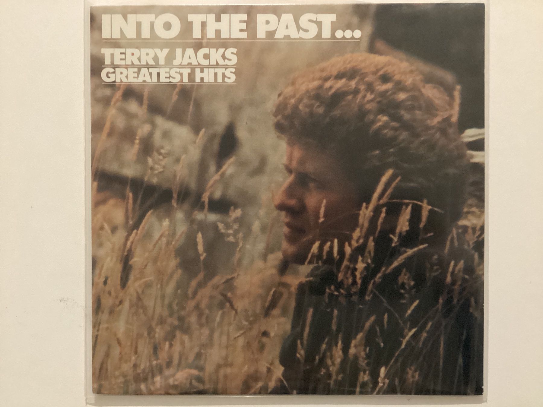 Dischi in vinile: Terry Jacks LP - Greatest Hits – Usato da Gutenswil venduto da Hamzian