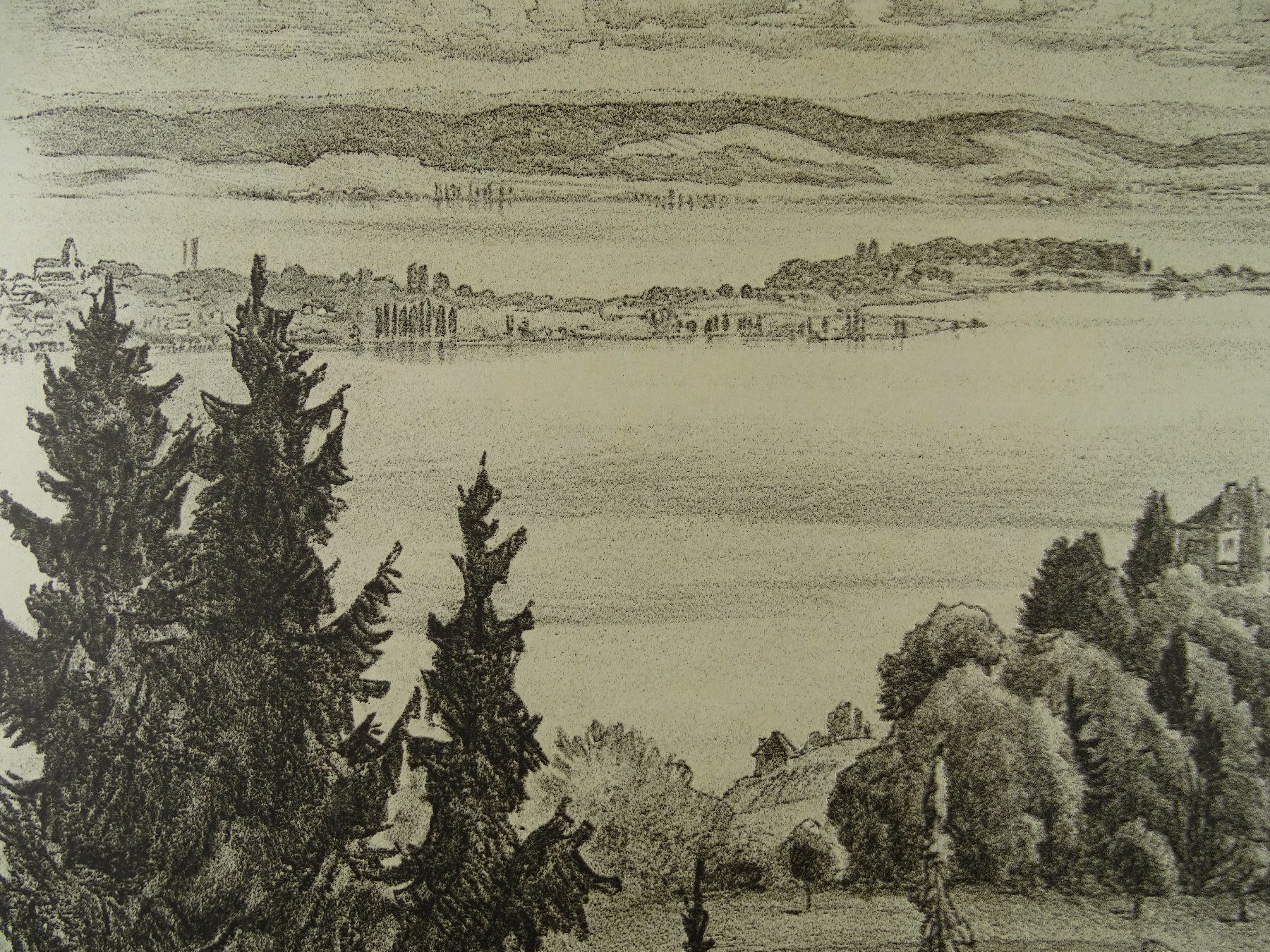 Grafica & Litografie: ARENENBERG, LITHO VON E.E. SCHLATTER – Usato da Grüningen venduto da Kartensammler 4