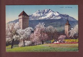 LUZERN - Auf Musegg