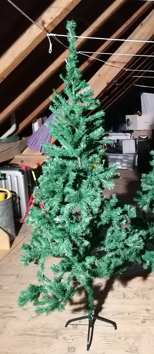 Piante & sementi: Schöner weinachtsbaum – Usato da Seon venduto da Aquaristik 1