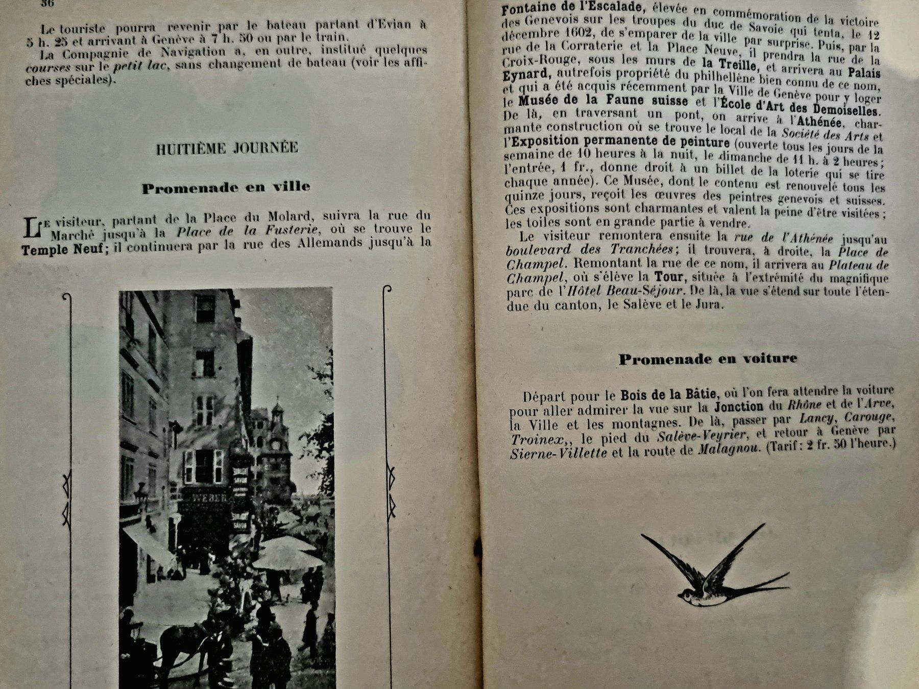 Cartine & Atlanti: Plan de Genève vintage – Usato da Cortaillod venduto da Cocotte9031 5