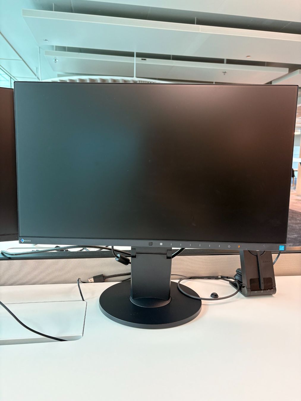 Monitor: EIZO FlexScan EV2450 Monitor – Usato da Zürich venduto da eli_hf5m