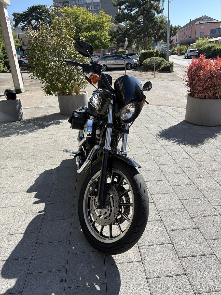 Harley-Davidson Cruisers: Harley Davidson XL883R – D'occasion à Cormondrèche par Mr.Douny 5