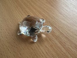 Swarovski Schildkröte aus Kristall