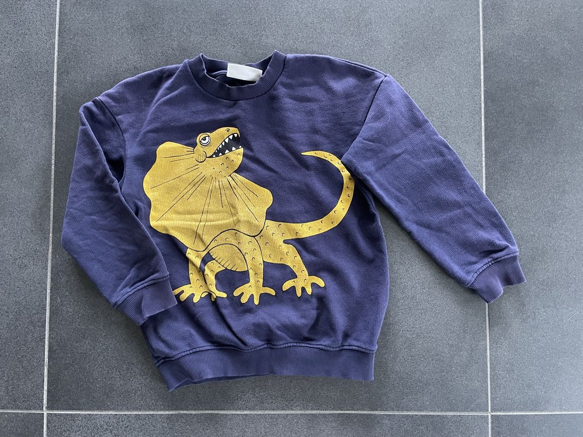 Mini Rodini Pulls et sweat-shirts: Pullover / Sweatshirt Gr. 116/122 Mini Rodini – D'occasion à Aesch ZH par lawas