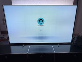 Philips Oled, 65 Zoll mit Einbrennungen  im Display
