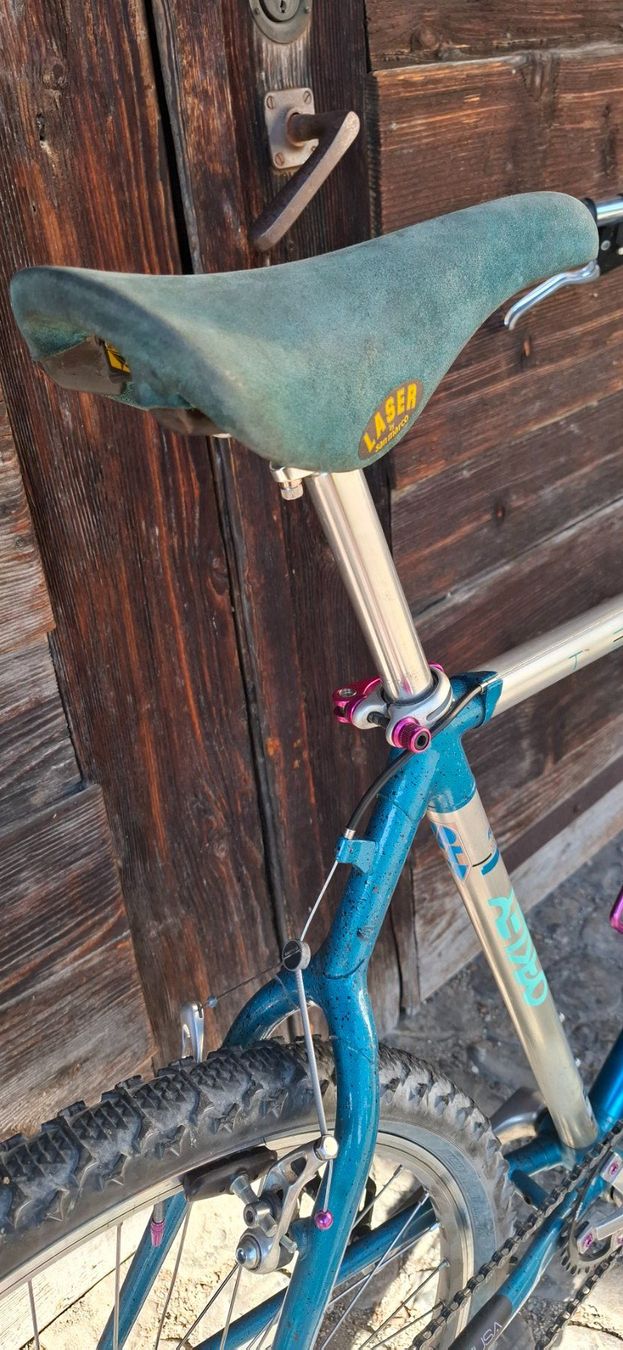 Raleigh Velos: Kult MTB Raleigh – Gebraucht aus Adliswil von trujillo01 5