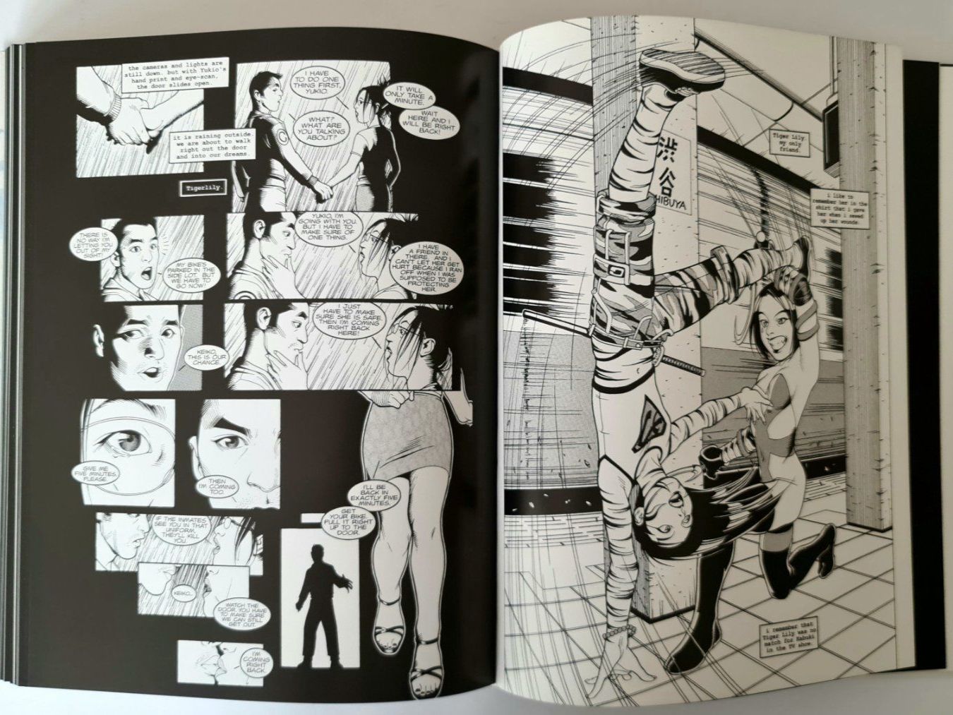 BD: David Mack, Kabuki Library Edition Comic Bücher 2-4 – D'occasion à Aesch BL par pri_fp8t 5