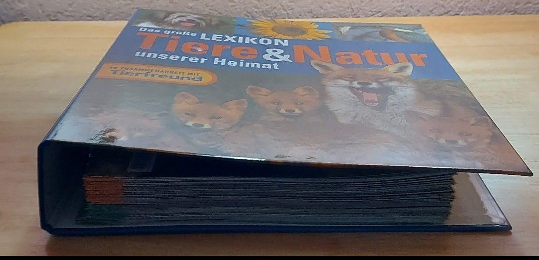 Libri: Kinder Ordner Tiere - Natur – Usato da Steinen venduto da bruvlatur86