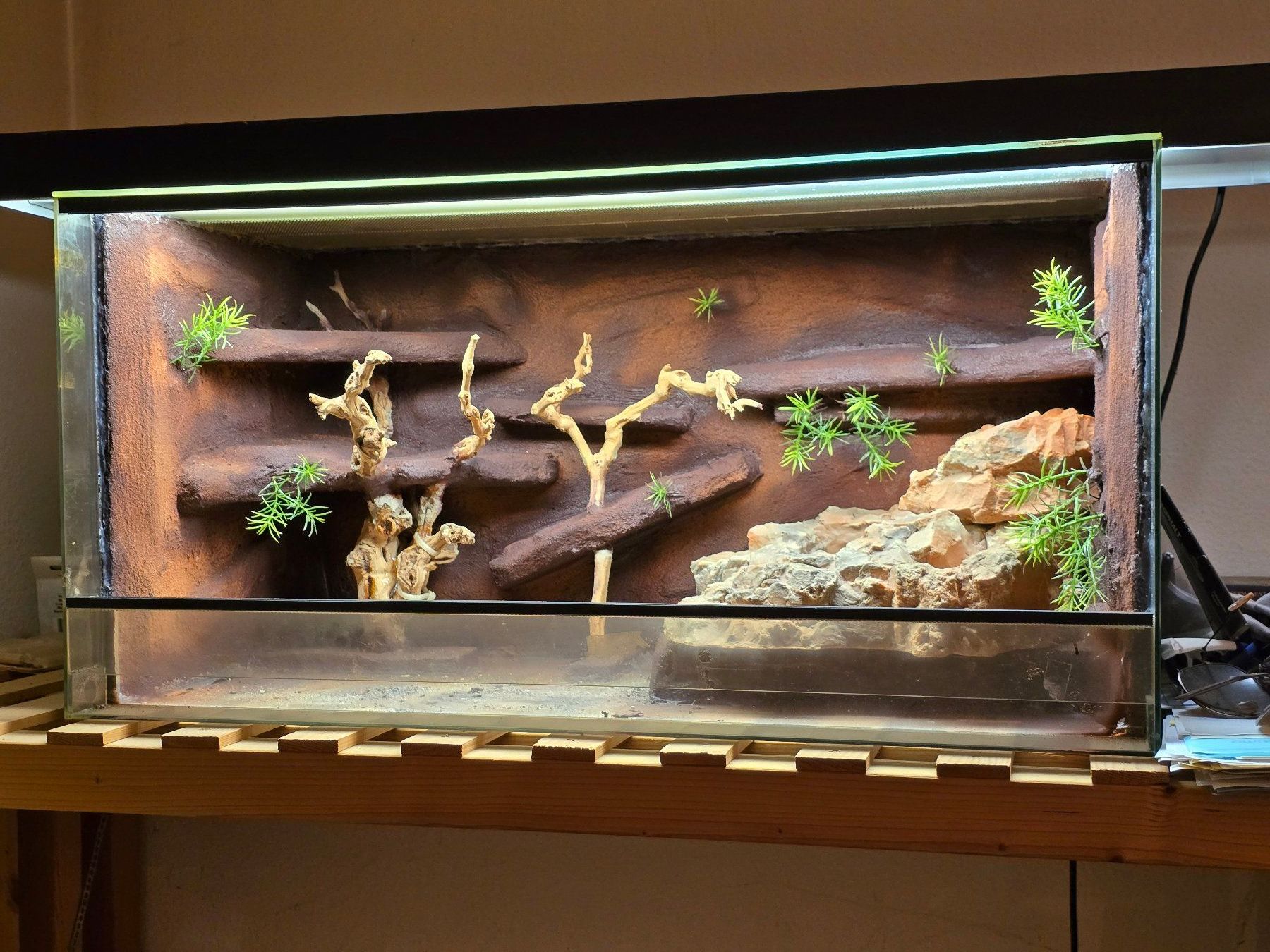 Terrarium: Terrarium – Neu (gemäss Beschreibung) aus Bülach von Resch07 4