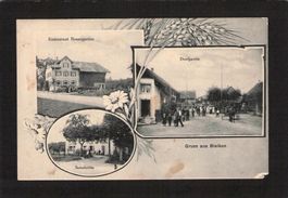 Lichtdruck Gruss aus Zürich - Seebach , gel. 1903