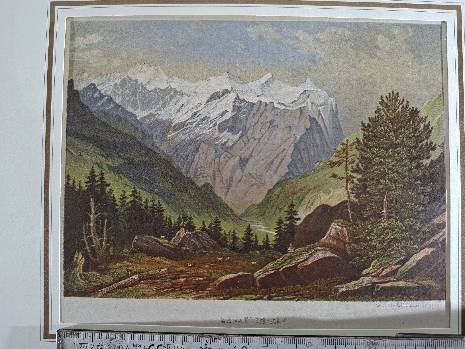Incisioni: Lot 18 , 5 Stiche – Usato da Grindelwald venduto da carro5 1