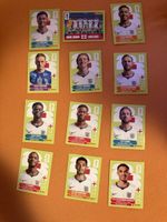 12 panini wm 26 Angleterre