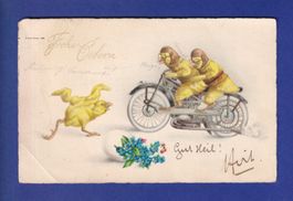 OISEAU - Poussins motards // pli //