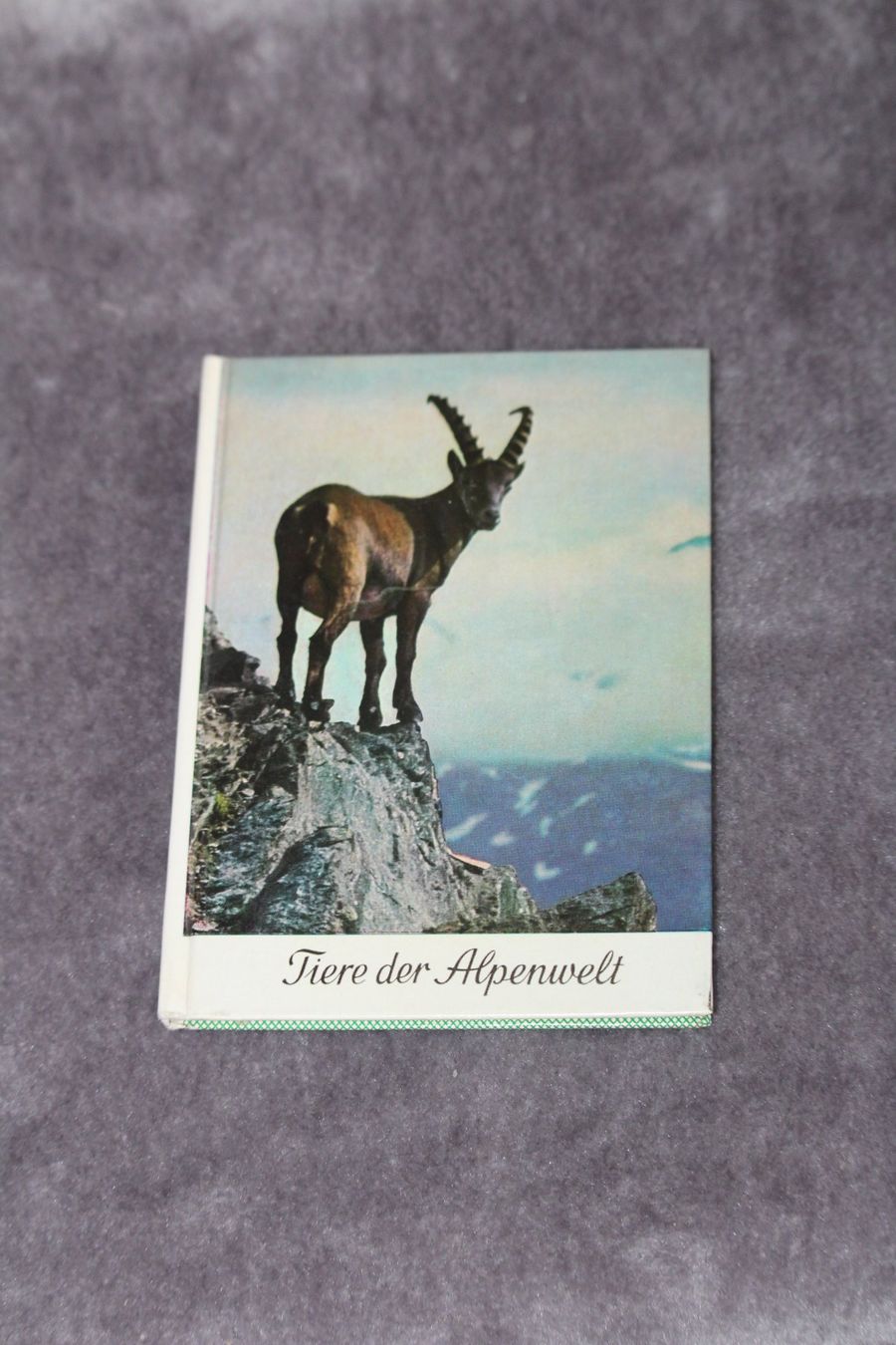 Libri: Tiere der Alpenwelt – Usato da Grenchen venduto da juebo