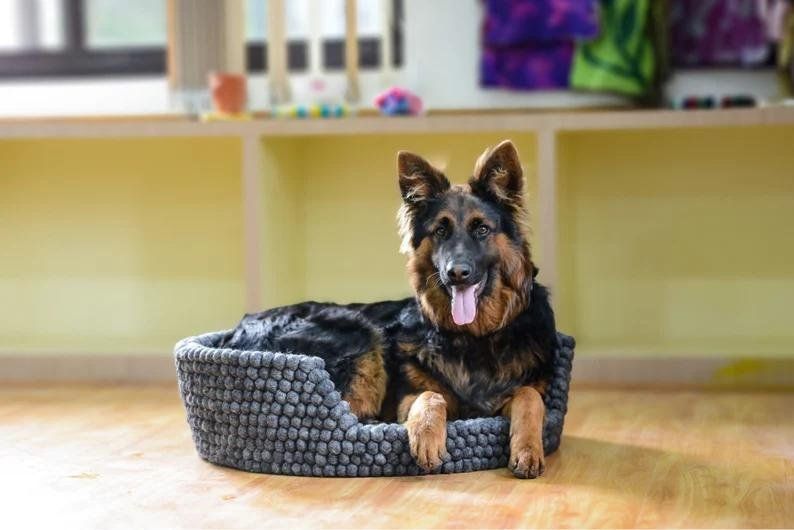 Cucce & Letti: Handgefertigtes Hunde- oder Katzenbett aus Wollfilz, grau – Nuovo e nell'imballaggio originale da Rorschach venduto da charlotte1964