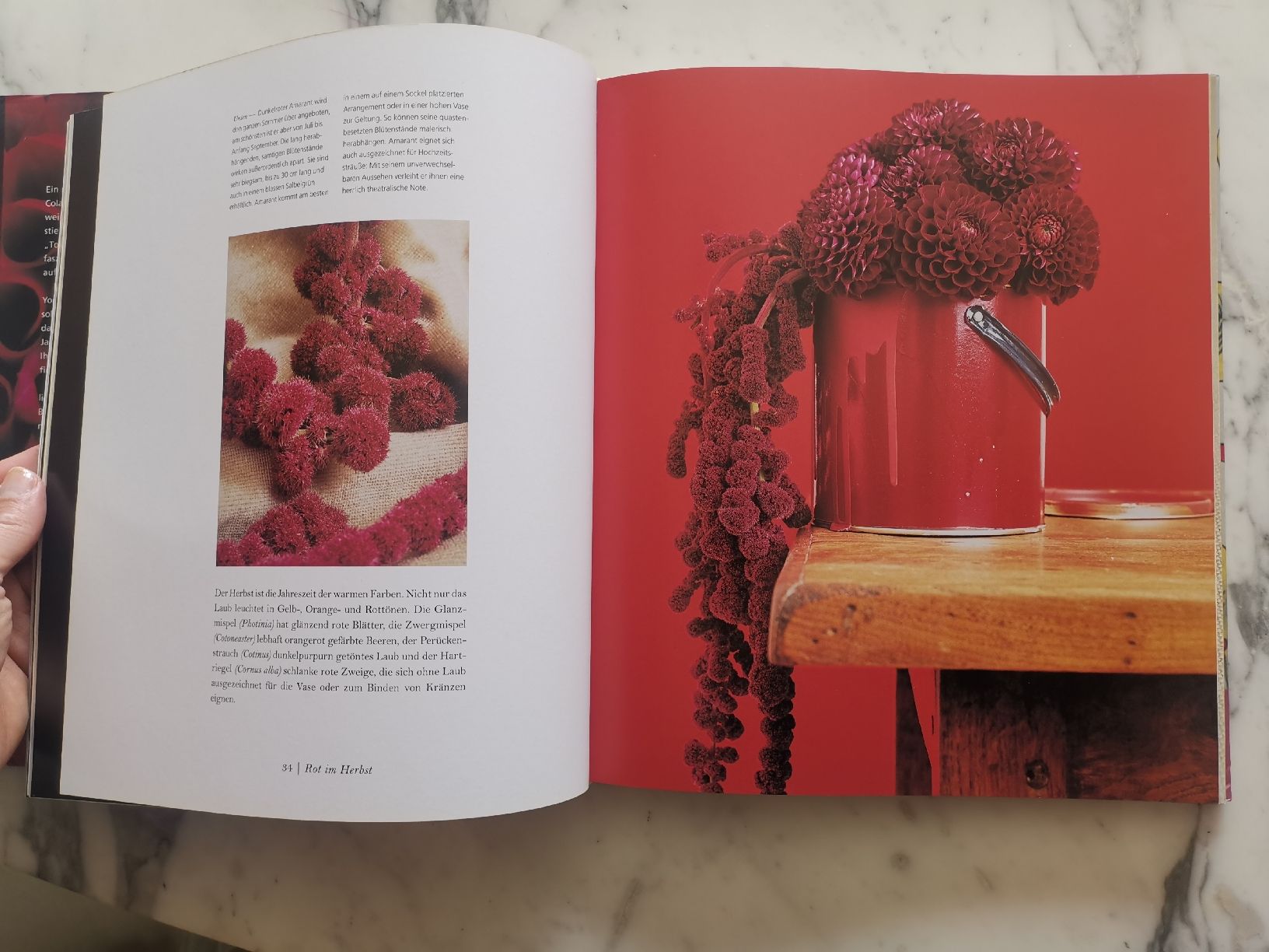 Livres: Farbrausch, Florale Arrangements, Jane Packer – D'occasion à Uerikon par pink_flamingo 3