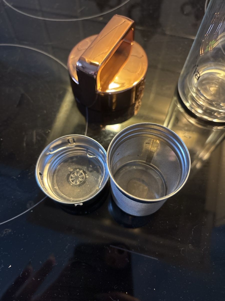 Borracce & Thermos: Fitvia Teeflasche Glas mit Sieb gebraucht – Usato da Hochfelden venduto da lor_xt2h 2