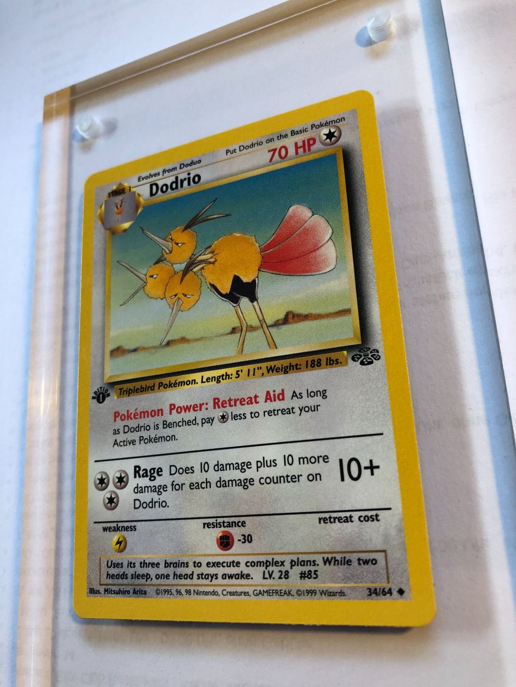 Cartes à collectionner: Dodrio (uncommon) 1st Jungle - MINT - ab 1.- – D'occasion à Giubiasco par dan_pr8b 2