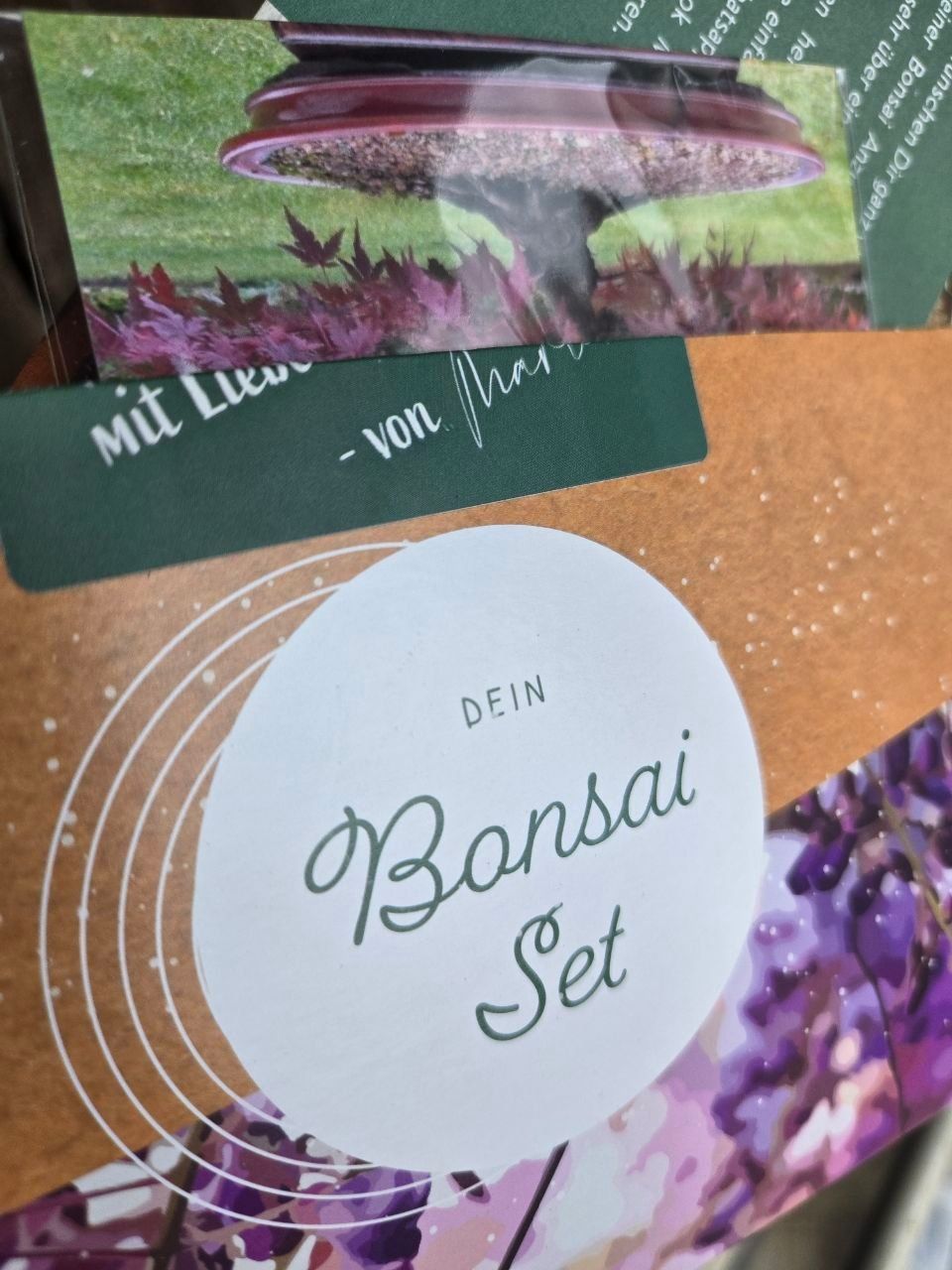 Piante & sementi: Bonsai-Komplett Anfangs Set – Nuovo (secondo la descrizione) da Ottenbach venduto da Derwisch1 5