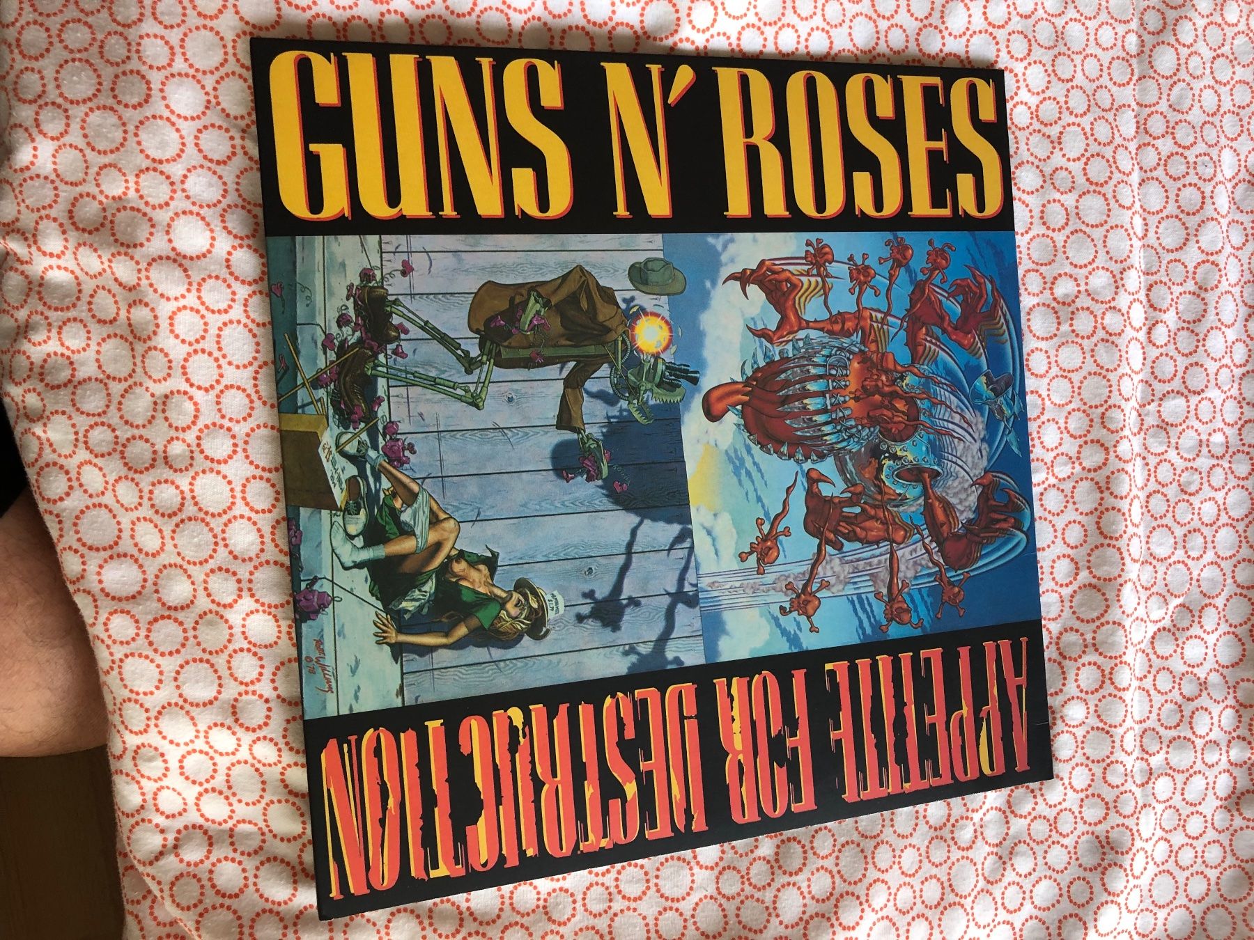 Dischi in vinile: GUNS N ROSES – Usato da Delémont venduto da pinguino6