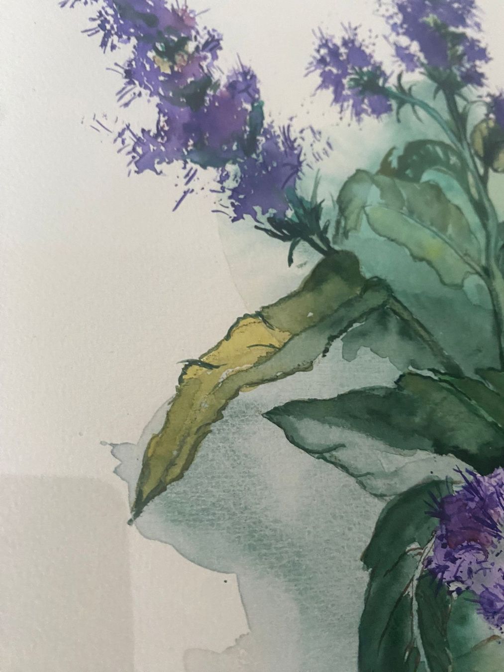 Dipinti: Aquarell, gerahmt, verglast – Usato da Chur venduto da bemaha 4