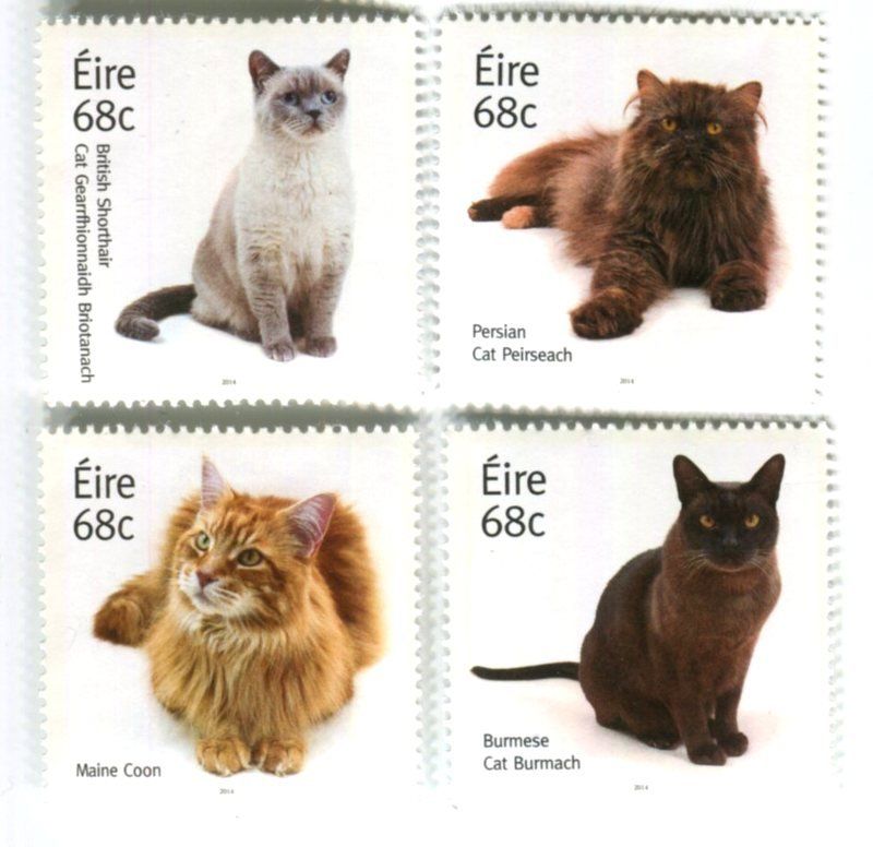 Tous les timbres: Briefmarken "Katzen". Irland – Neuf avec emballage d'origine à Basel par Butsch5