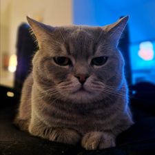 Profile image of trudiundrolf