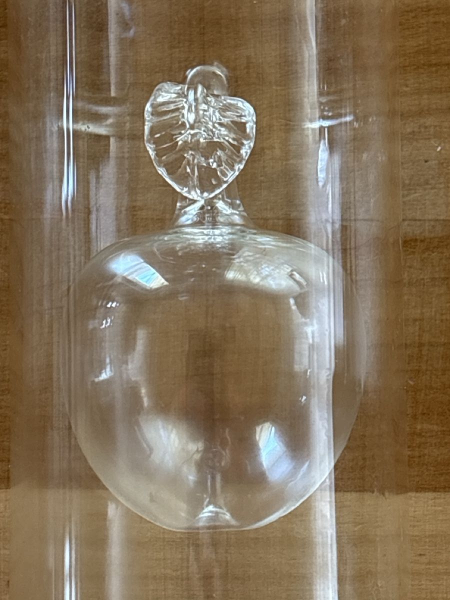 Sonstiges: Likör Flasche leer mir Glas Apfel deko – Gebraucht aus Rümlang von baselsale1 2