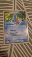 Gobou carte pokémon 